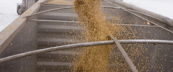 aplicacion-manguera-Hidra-Bulk-Hidraservice